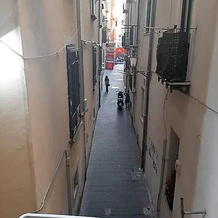 Le Ginestre In Centro